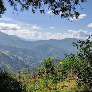 Lime Tree Farm, Blue Mountains , Mavis Bank Jamaica